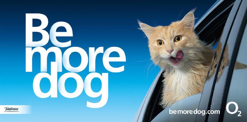 O2 &ldquo;Be more dog&rdquo; campaign poster: a cat leaning out of a car window