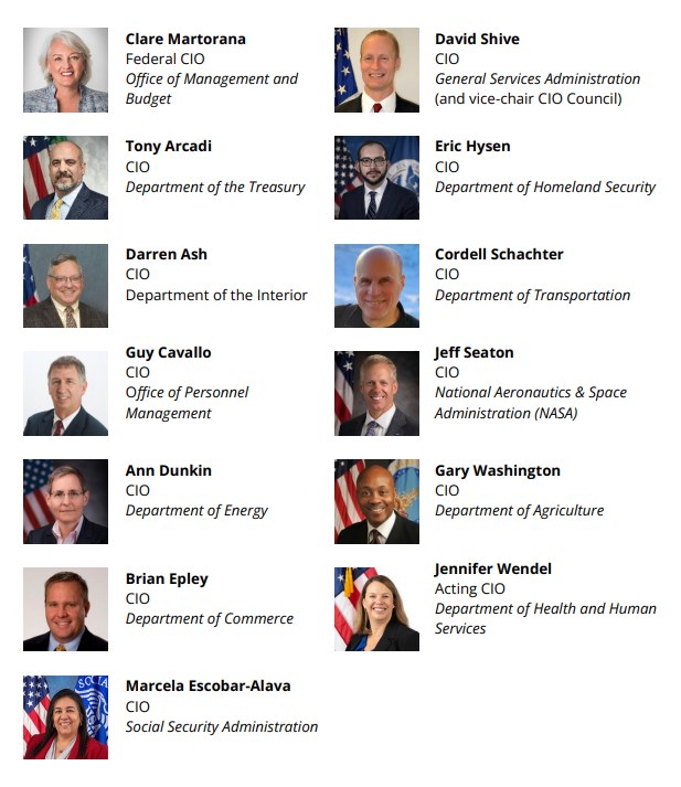 Participants in the US Federal CIO study